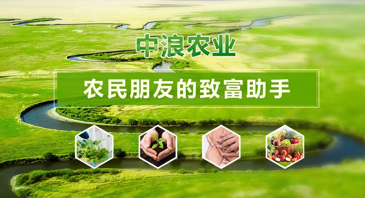 中浪农业叶面肥网站,绿色设计风格